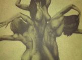 DSC00215.jpg