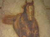 2_DSC00113.jpg